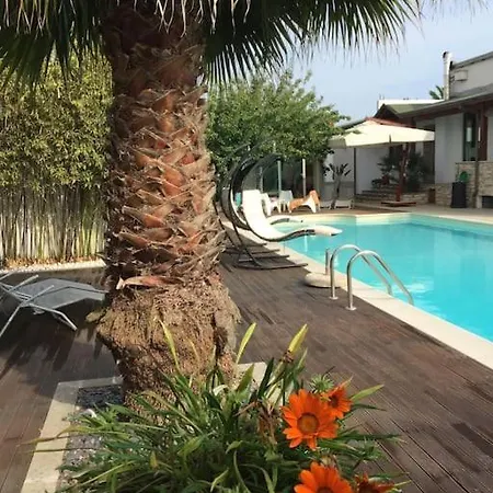 The Bamboo - Fraschetti Daniele Cogna