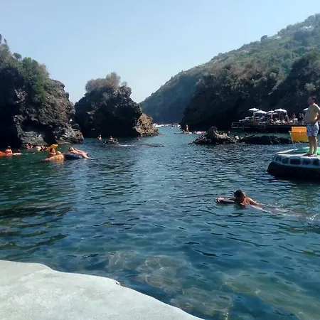 The Bamboo - Fraschetti Daniele *