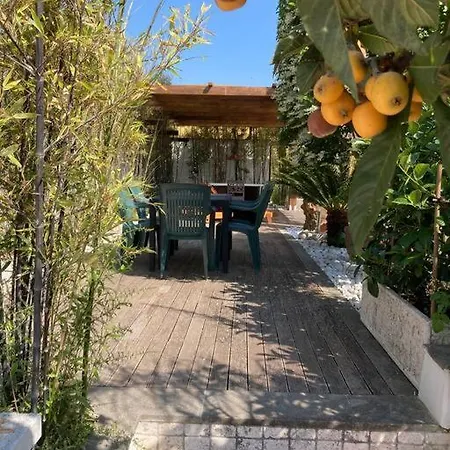 Apartment The Bamboo - Fraschetti Daniele Cogna