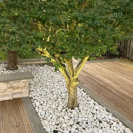 The Bamboo - Fraschetti Daniele Lägenhet *