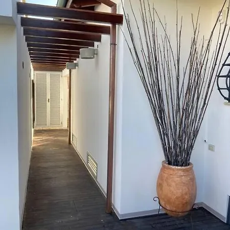 The Bamboo - Fraschetti Daniele