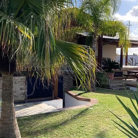 The Bamboo - Fraschetti Daniele *