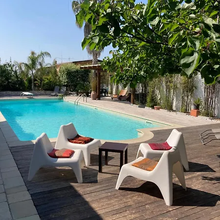 The Bamboo - Fraschetti Daniele Cogna