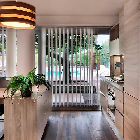 The Bamboo - Fraschetti Daniele * Cogna