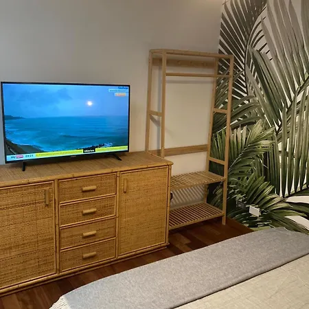 The Bamboo - Fraschetti Daniele * Cogna