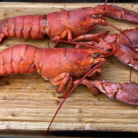 Lägenhet The Bamboo - Fraschetti Daniele *