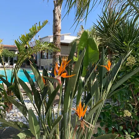 The Bamboo - Fraschetti Daniele Lägenhet Cogna