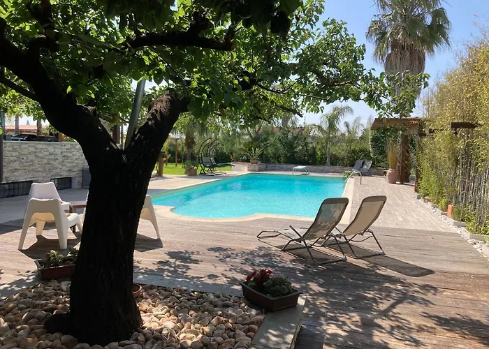 The Bamboo - Fraschetti Daniele * Cogna